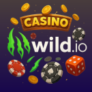 Wild.io Casino